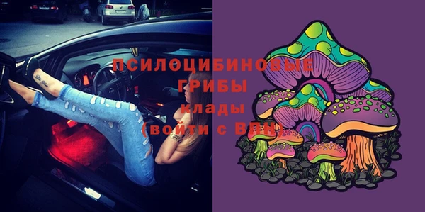 СК Абдулино