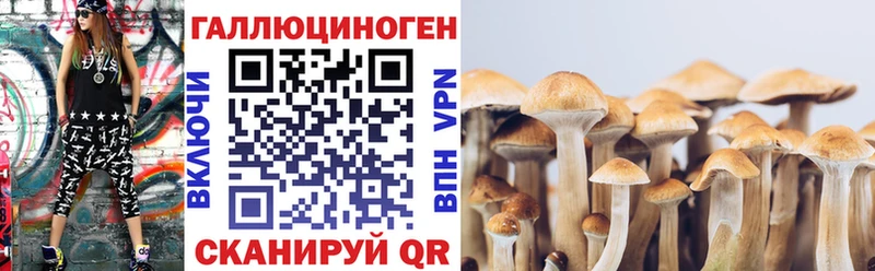 Галлюциногенные грибы ЛСД  купить наркоту  Инсар 